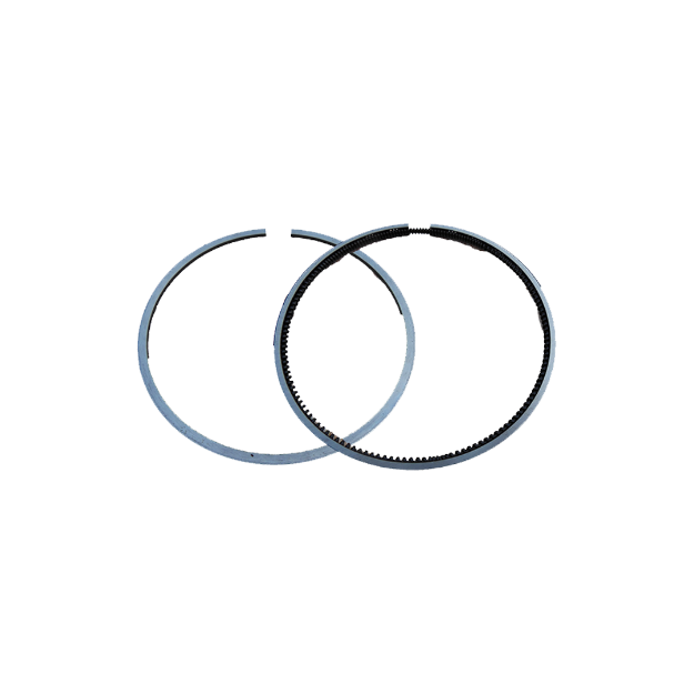 Picture of R3000-1004003----Piston ring assembly